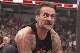 CM Punk