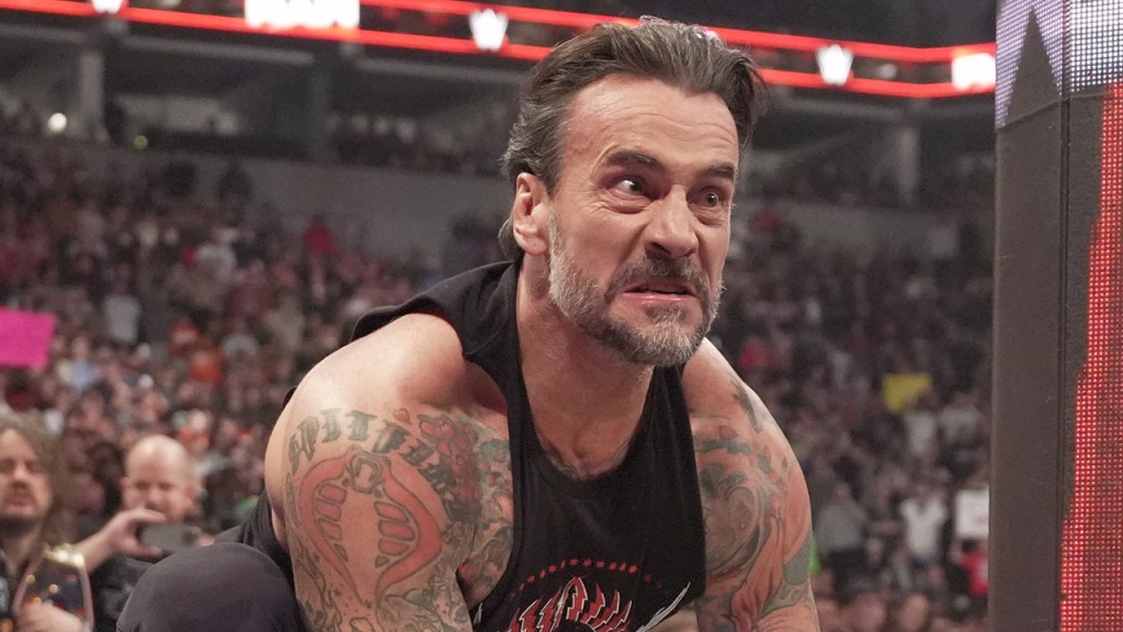 CM Punk