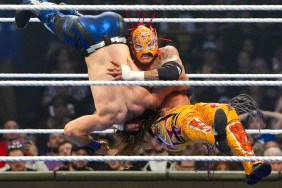 rey fenix