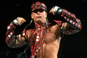 shawn michaels