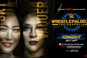 New Women's World Champion Crowned At WWE Wrestlepalooza
