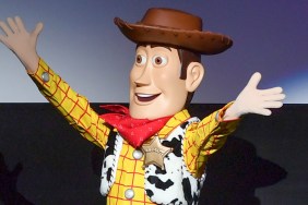 Woody from Toy Story
