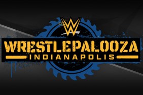 wwe wrestlepalooza