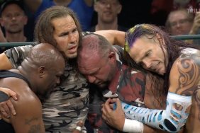 The Hardys The Dudleys Team 3D TNA