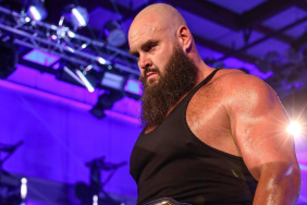 Braun Storwman