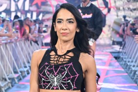AJ Lee WWE Wrestlepalooza