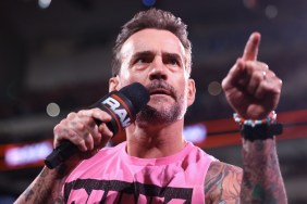 CM Punk
