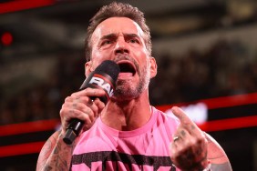 cm punk