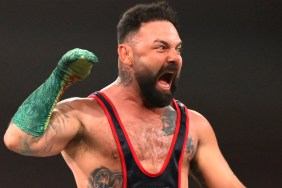 Santino Marella