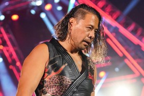 shinsuke nakamura