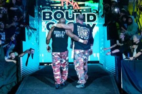 team 3d dudley boyz