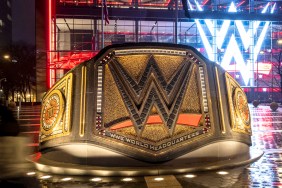 WWE logo