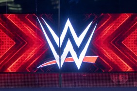 WWE logo