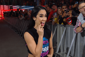 AJ Lee WWE RAW