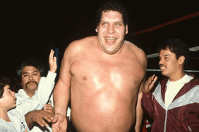 Andre the Giant