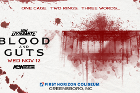 Star-Studded Women's AEW Blood And Guts Participants Announced
