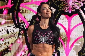 AJ Lee