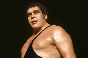 Andre the Giant