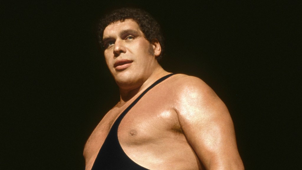 Andre the Giant