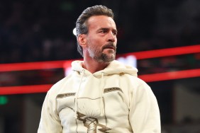 CM Punk