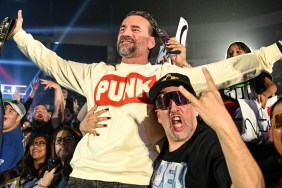 CM Punk