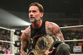 CM Punk