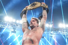 CM Punk