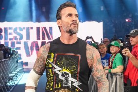 CM Punk