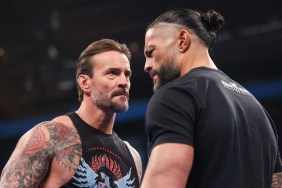 CM Punk Roman Reigns