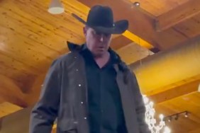 jbl velveteen dream