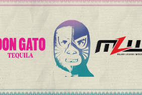 mlw x don gato
