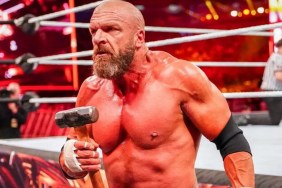 triple h sledgehammer