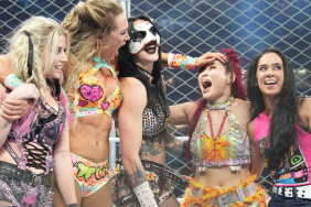 aj lee wargmaes wwe