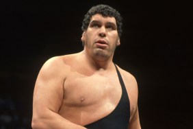 Andre the Giant