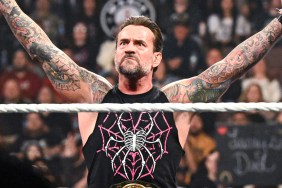 CM Punk