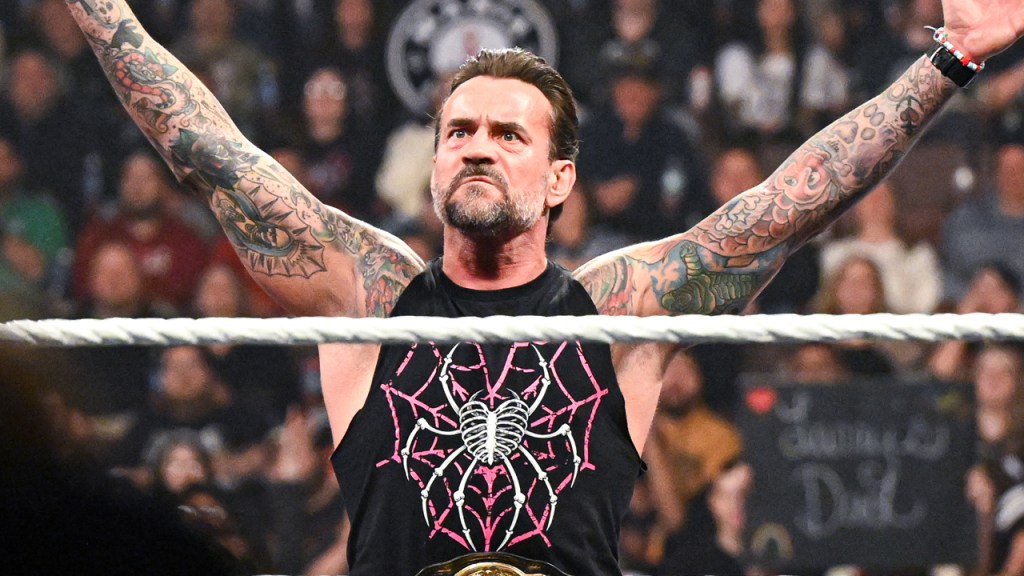 CM Punk