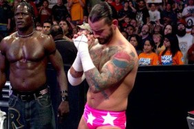 cm punk macho man wwe