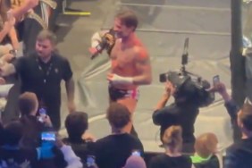 CM Punk WWE