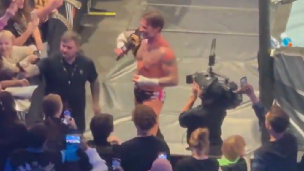 CM Punk WWE