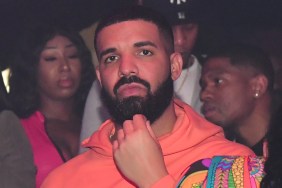Drake OVO