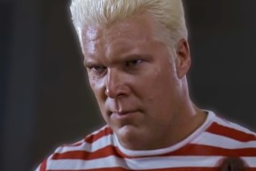 kevin nash the punisher