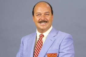 mean gene okerlund
