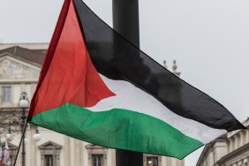 palestine palestinian flag