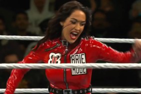 brie bella wwe royal rumble