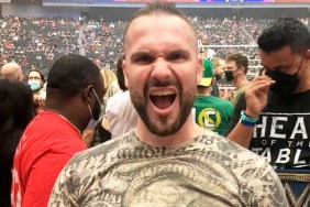brock lesnar guy wwe
