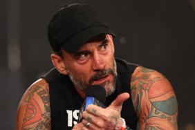 CM Punk