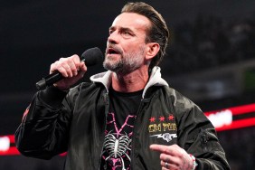 CM Punk