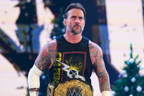 CM Punk