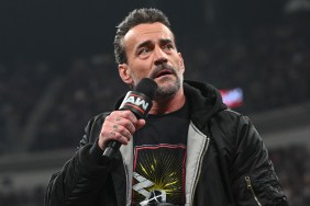 CM Punk