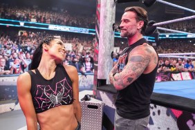 CM Punk AJ Lee
